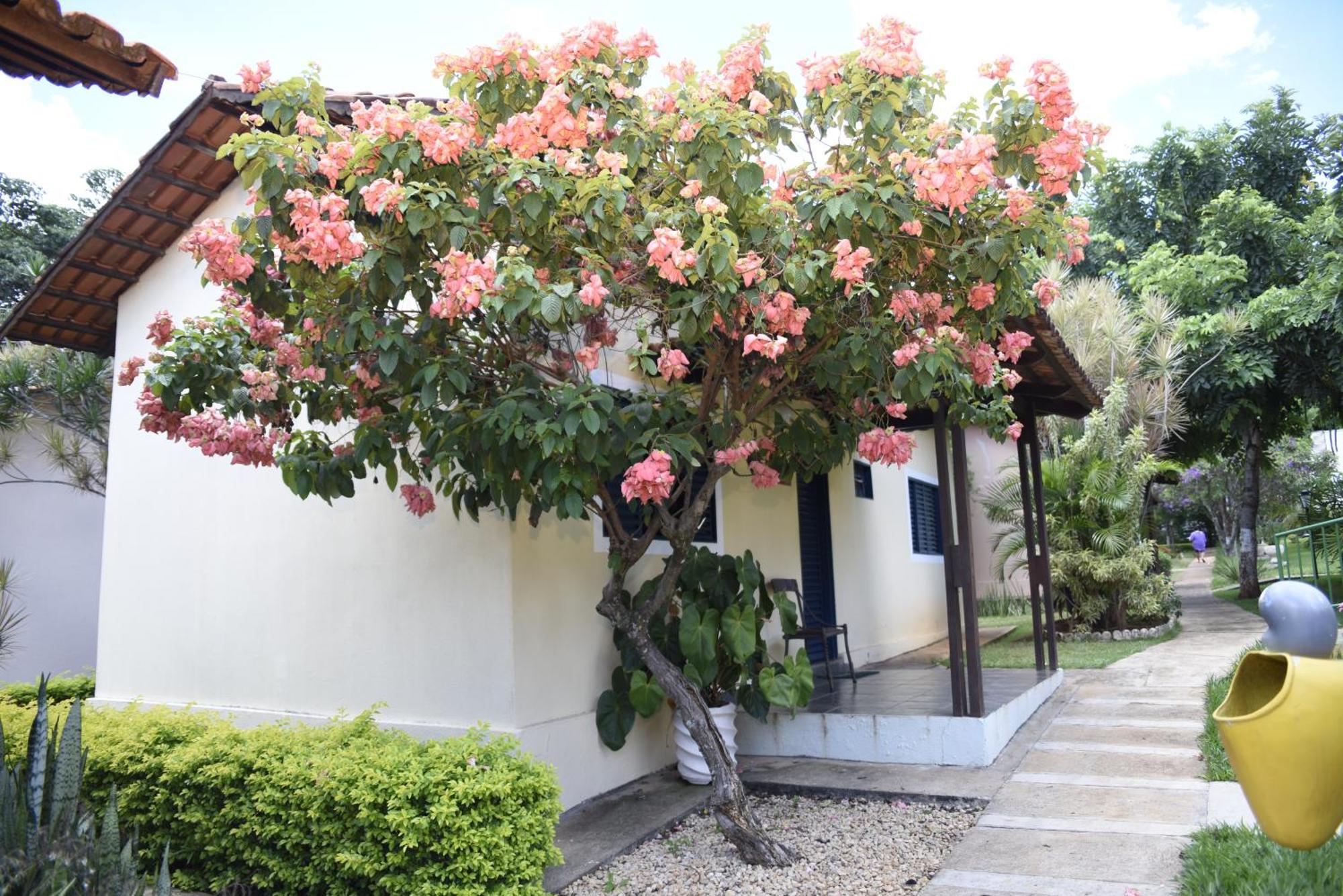 אפרסידה דה גויאנה Rosa Spa E Pousada מראה חיצוני תמונה